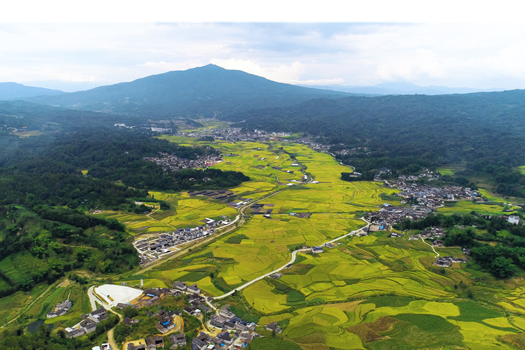 丰收腾冲蒲川 相约"稻虾节"