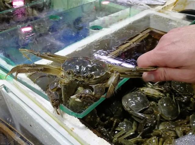 民生丨海淀这个京西最大菜市场 大闸蟹8块钱就能买_水产市场