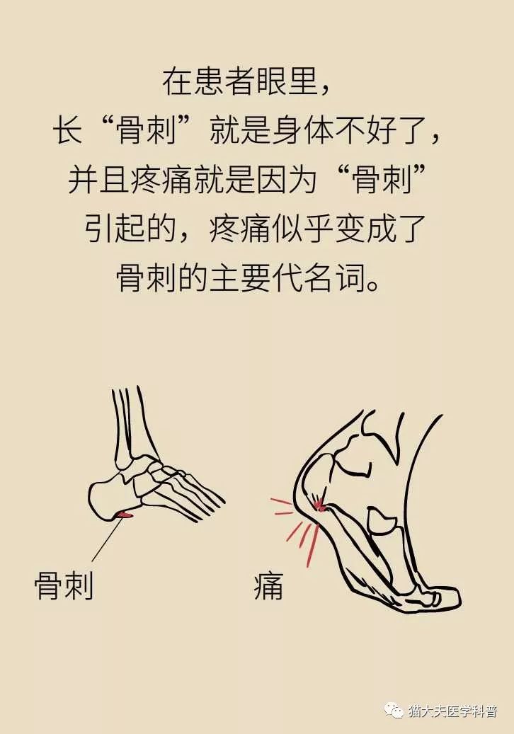 骨刺竟然是好东西我们一直都错怪它了