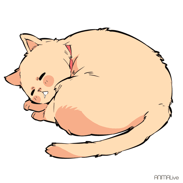 600_600gif 动态图 动图