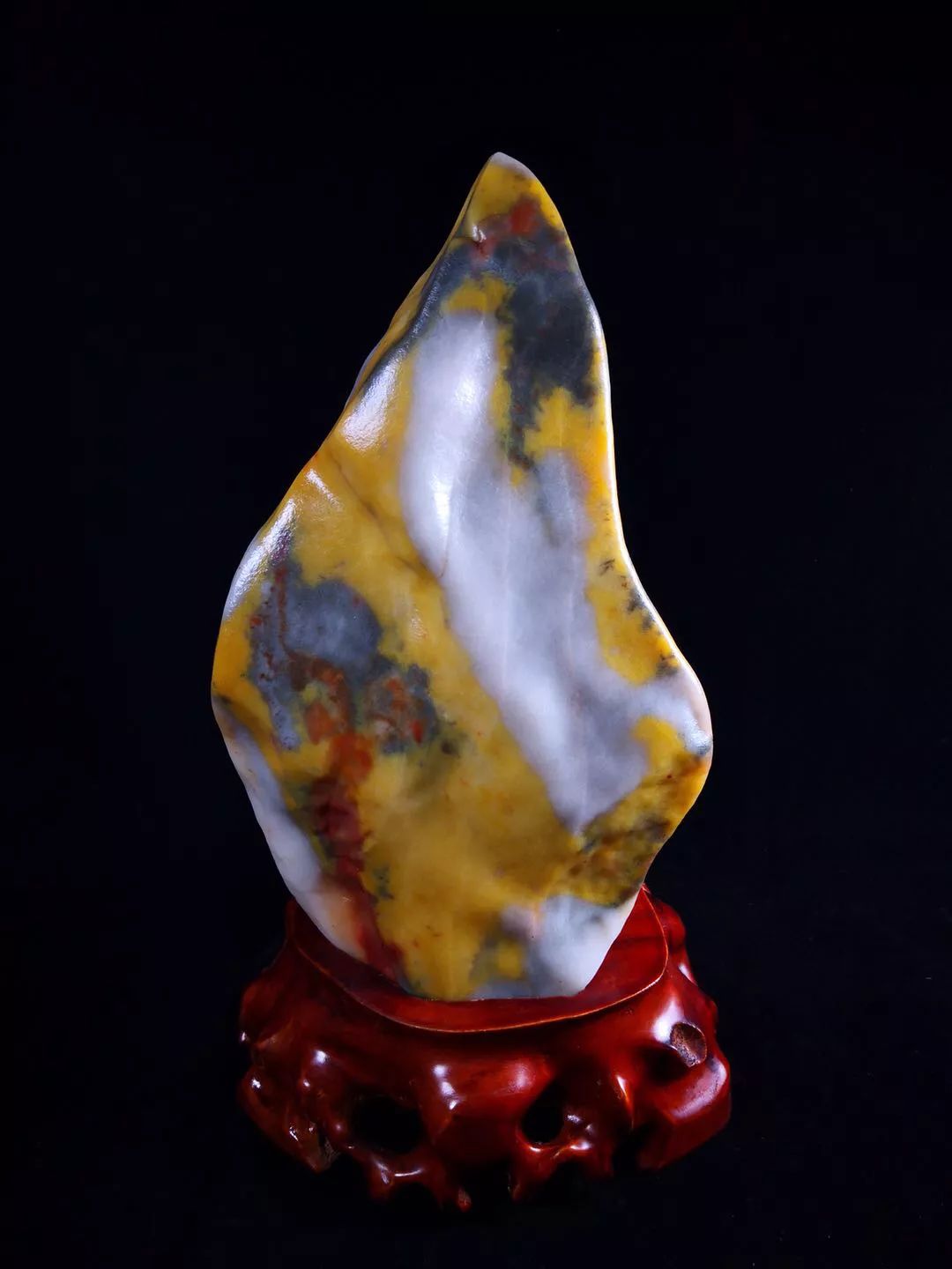 《中华第一龙》,《金丝玉猴王》,《火炬》,《海的女儿》,《画眉》