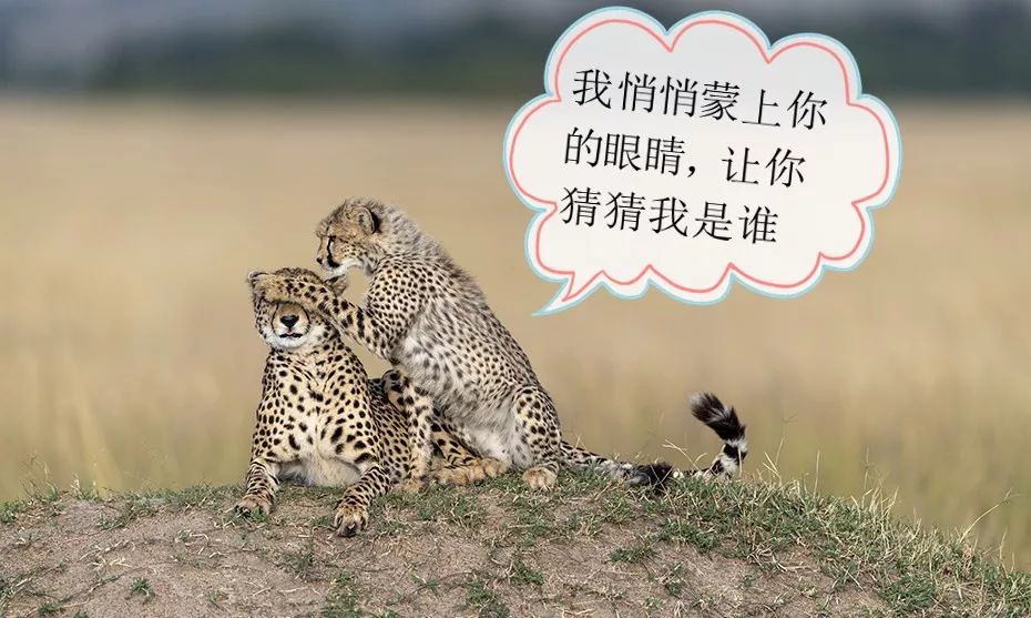 听说你表情包不够用了拿走不谢