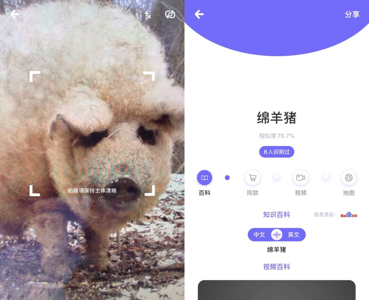 万图拍动物识别出新招手机一键识别不止是宠物猫狗能刷脸