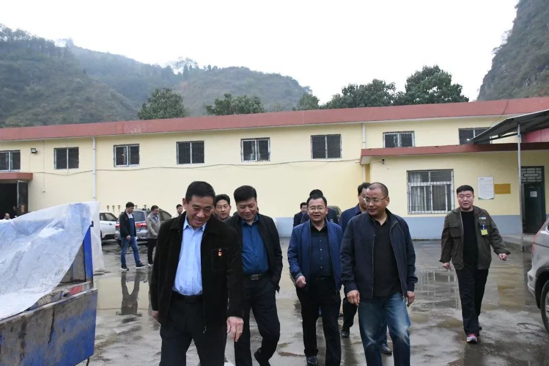 要闻河南中烟工业公司崔少卿一行到朱阳镇查看烟叶收购情况
