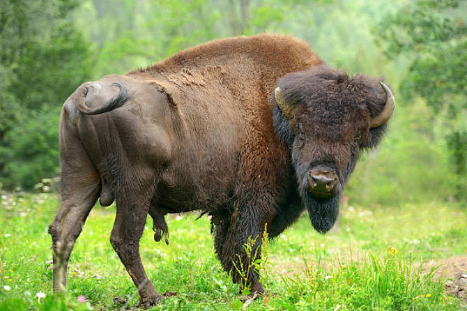 跟富裕擦肩而过的面相