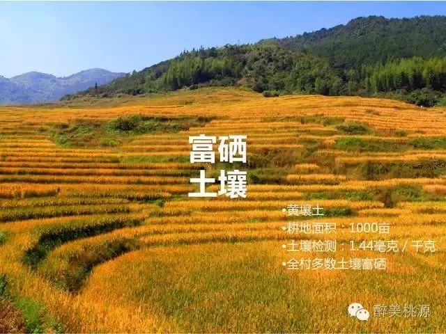 富硒农业是新兴产业富硒农产品作为新兴的保健农产品可以帮助人们补充