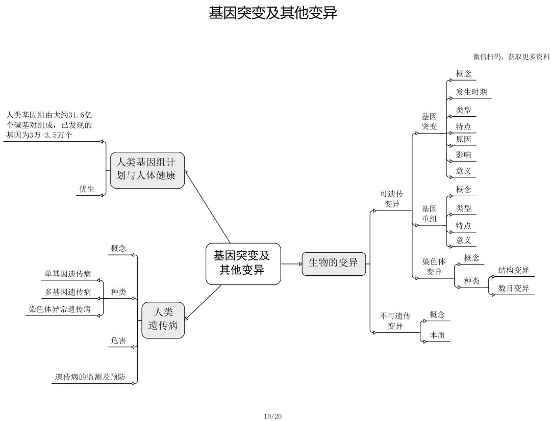 高中生物必修 選修思維導圖最全歸納,從此高中生物無憂!