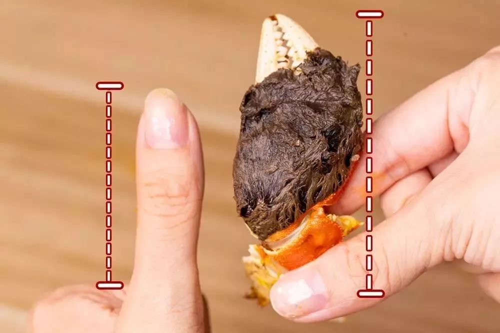 拇指大一圈公蟹的蟹钳更不能放过这滋味只有吃了才能感受到包裹住口腔