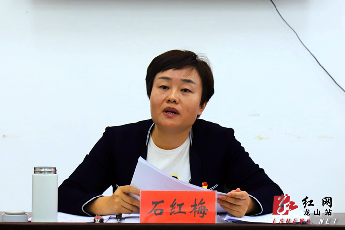 石红梅深入茨岩塘镇茄佗村指导软弱涣散党组织整顿工作