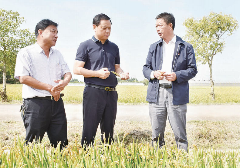 坚守初心 践行使命 真心实意为群众办实事解难事