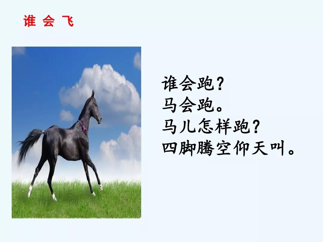 部编版一年级上册和大人一起读六谁会飞图文解读