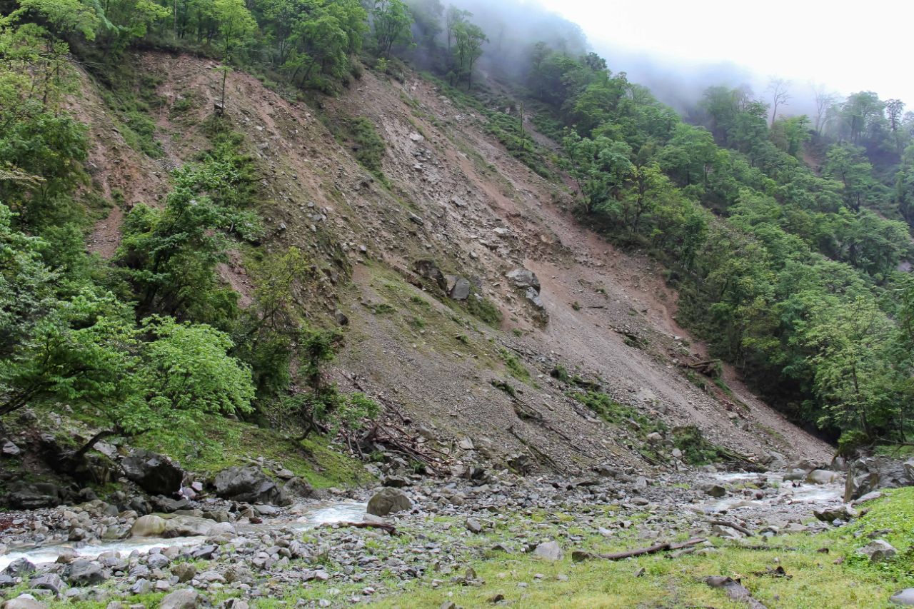 汶川大地震天崩地裂这群国宝有特异功能竟神一般奇迹生还