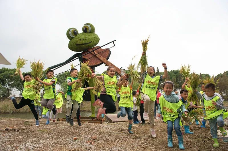 亲子童军稻田拾趣秋日童话割稻子打稻穗做稻草人田间趣味运动会和孩子