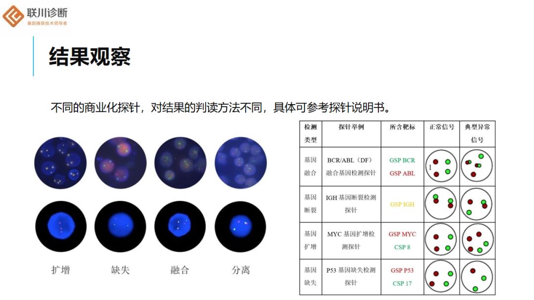 荧光原位杂交fish的应用