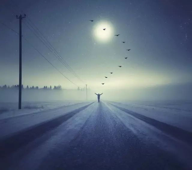 林清玄月光下的喇叭手