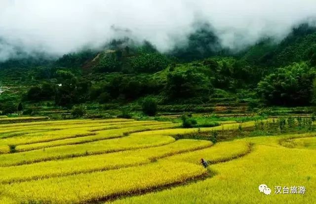 秋高氣爽景色美漢臺武鄉的秋色惹人醉