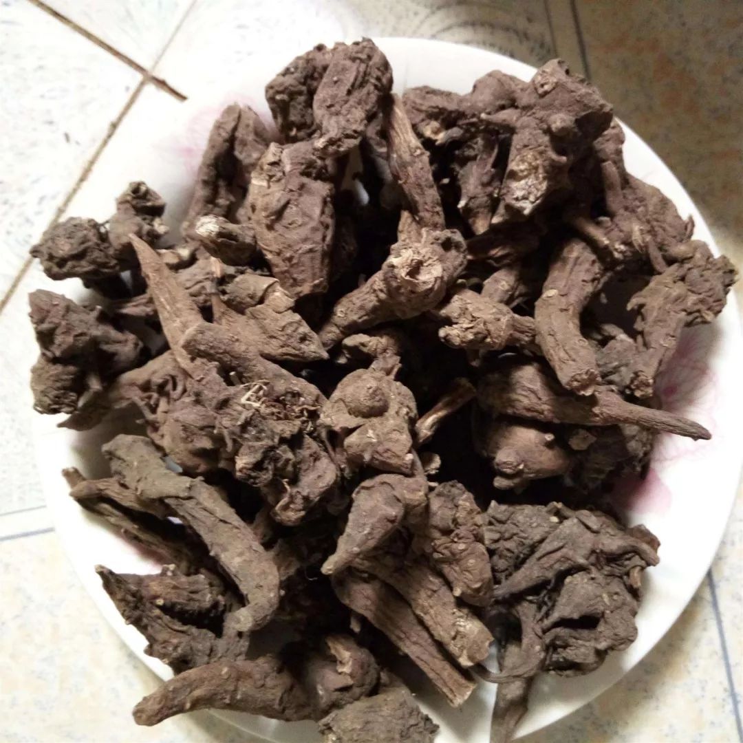 因此,用乌头类中药材泡制的药酒乌头碱含量往往很高,容易引起中毒.