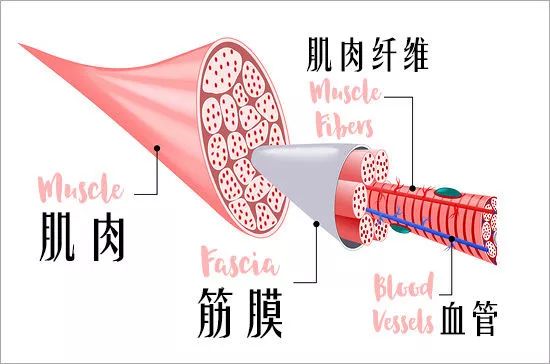 今天只说一个字滚原来正确滚法是这样的