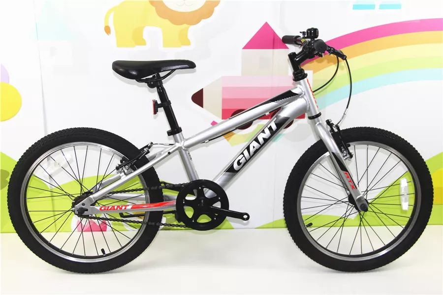 价值768元捷安特anime20自行车一辆5~6岁子组/open组(3~6岁)冠军
