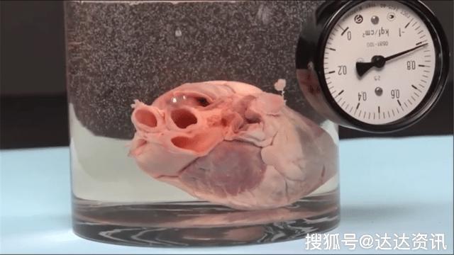 真空环境究竟有多可怕?看这颗心脏的下场你就明白了