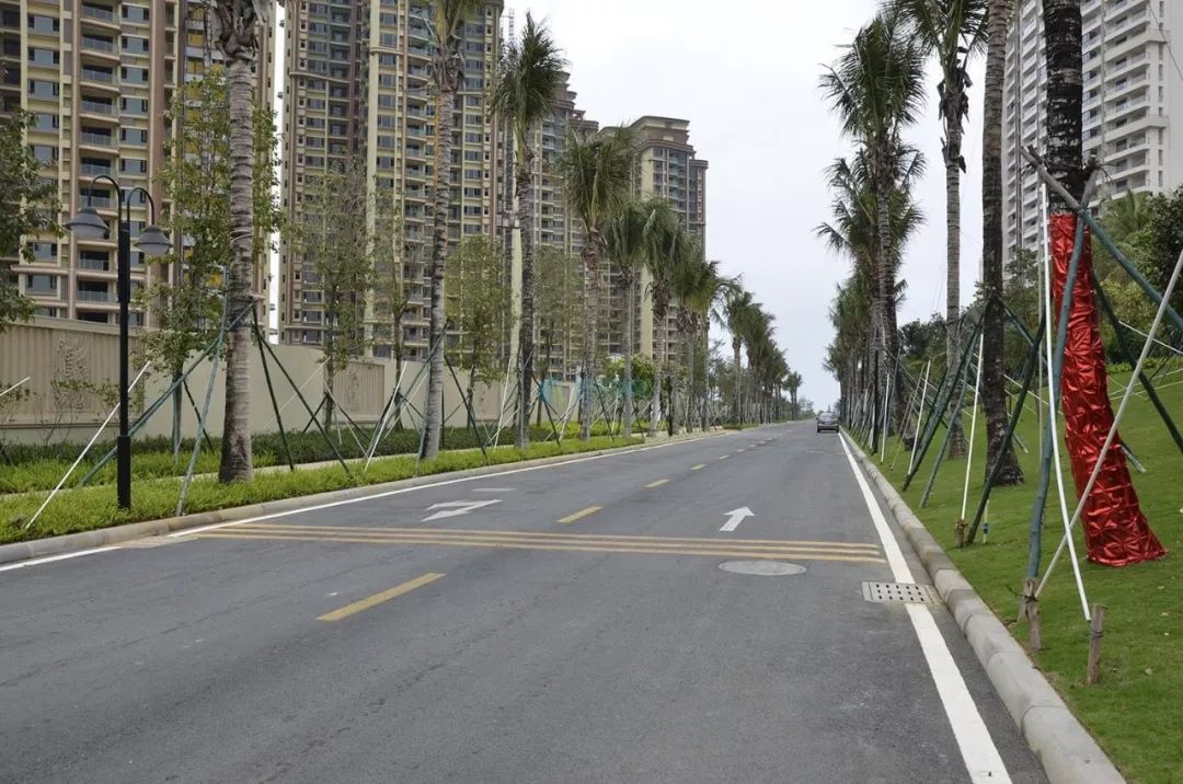 浙江允许小区内醉驾? 切勿以身试法!_道路