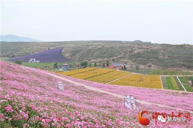 田园筑梦兰州市榆中县李家庄三变构筑富民新模式