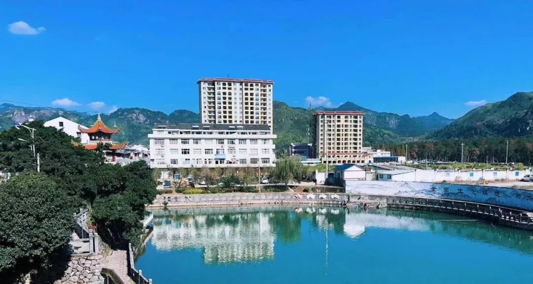 "美丽永嘉"全域环境大整治大提升比看活动走进沙头镇