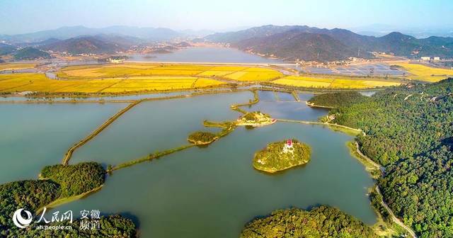 安庆市宜秀区鲍冲湖风景区