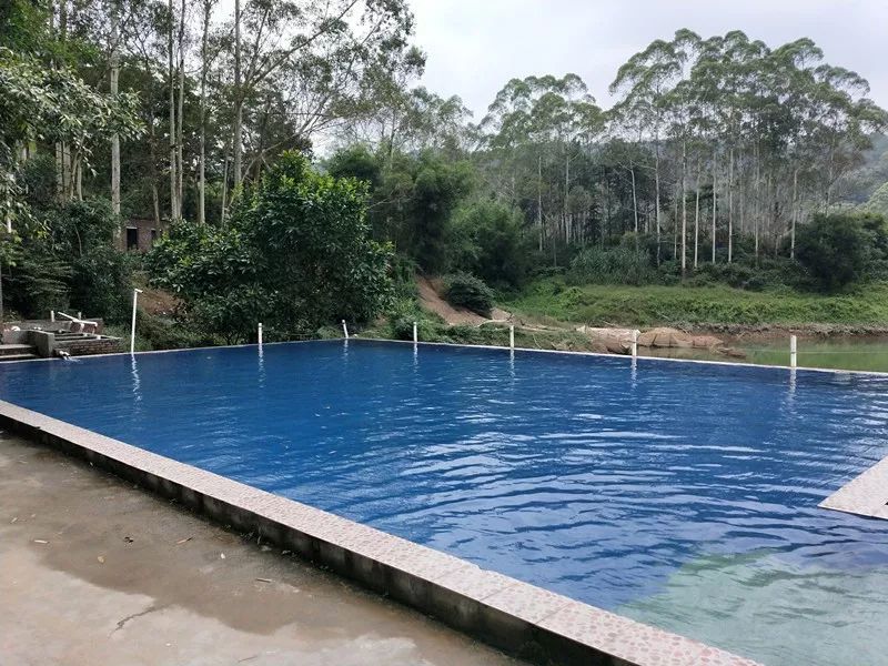 茶山游泳池图片