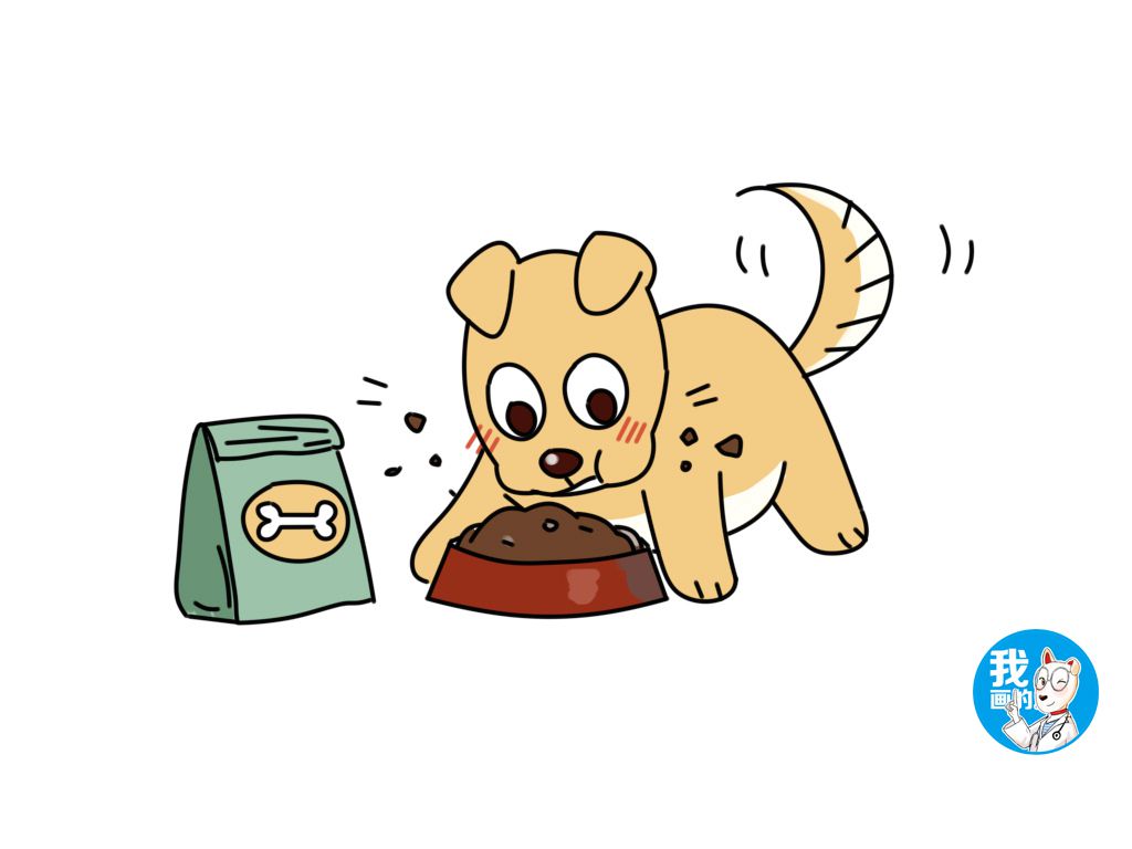 原创老话说喂狗别喂饱,竟是有科学道理的,听听兽医怎么说