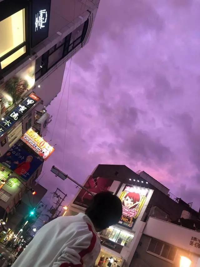 铃木雨燕紫色图片