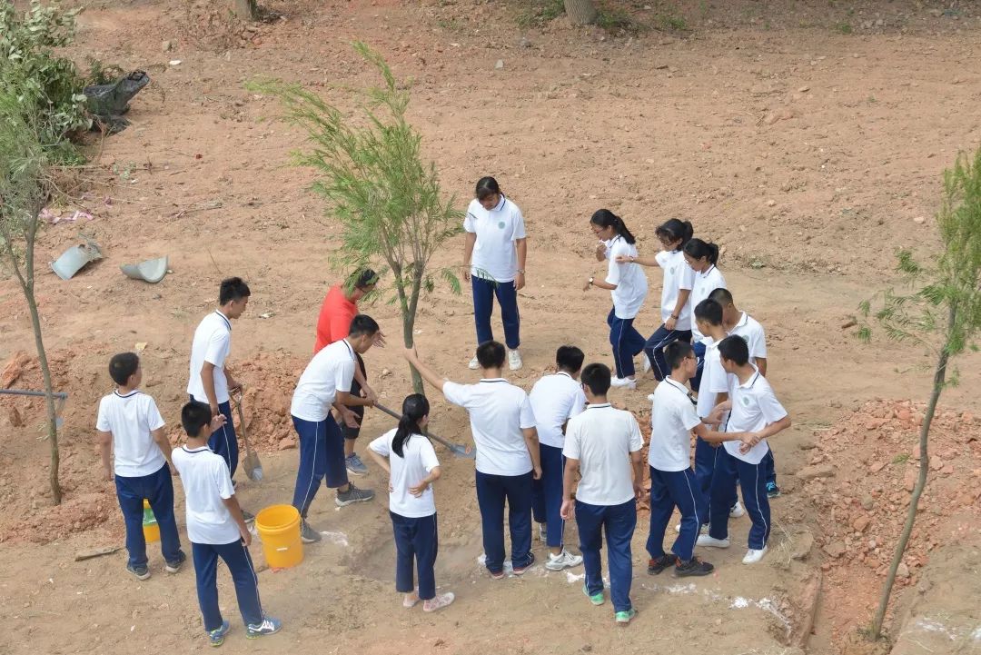 中学种植苗木保护水土资源改善校园环境紫帽中心小学种植苗木123456