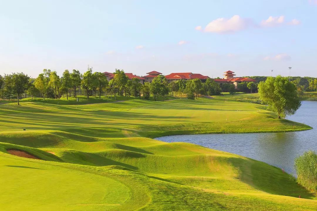 今年与悦跑圈及蚂蚁森林都展开了跨界合作,让你在现场的每一个步伐,都