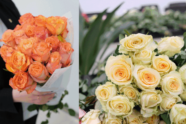 640_427gif 动态图 动图