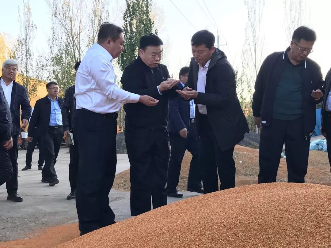 主题教育进行时张恩惠在科右前旗调研时强调全力以赴把广大农牧民的