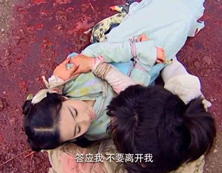 在灵儿死后,天上飘着红色的蒲公英,剑圣读着魔非魔那首诗,李逍遥也