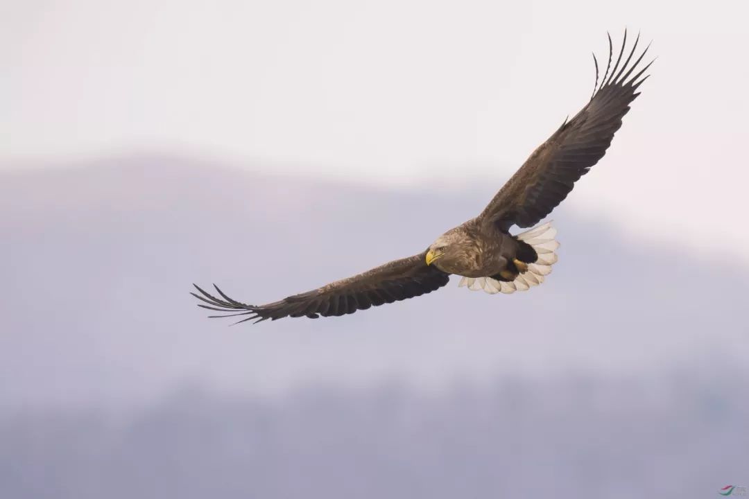 高三的一天扎根日常起于点滴御风而行鹏飞万里