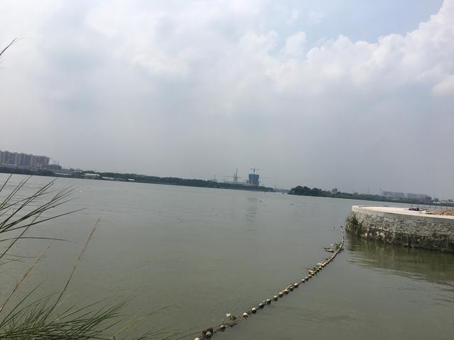 原创16万一平新塘唯一在售地铁江景楼盘东江逸珑湾全新3栋盛启