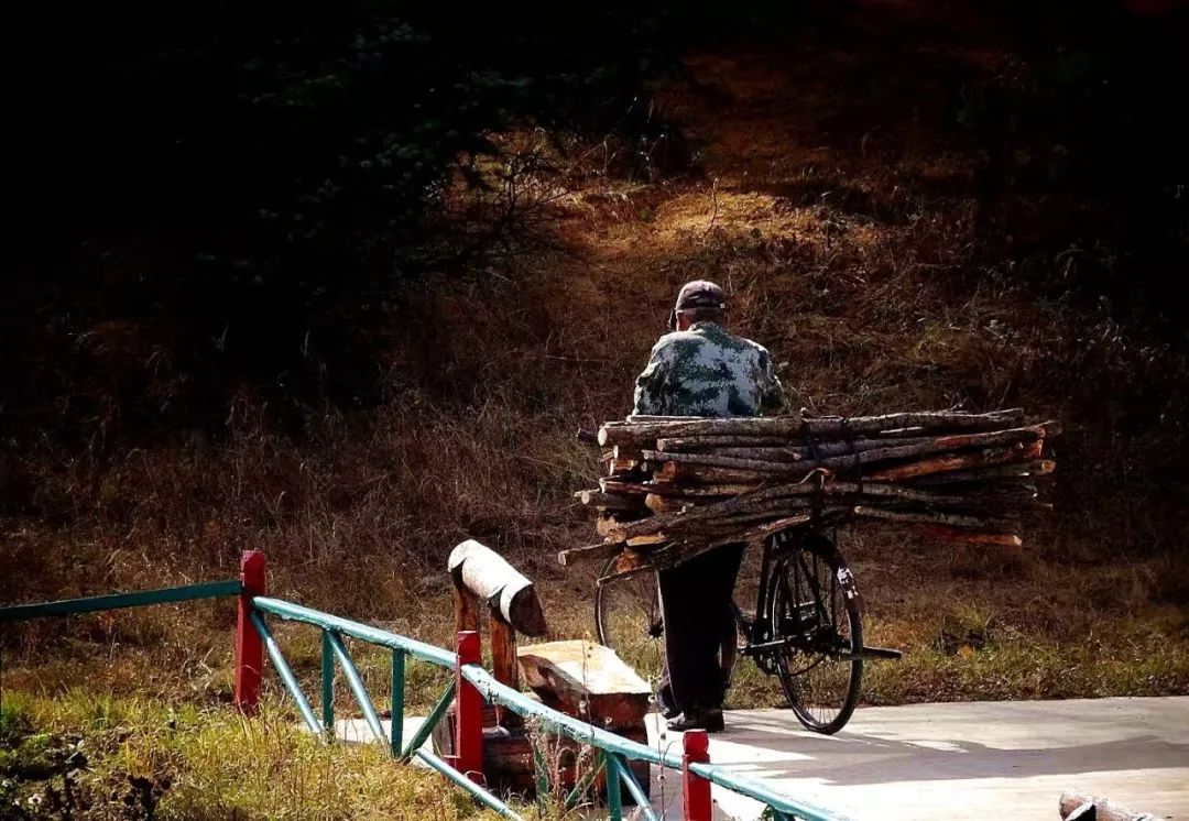 自行车驮烧柴大兴安岭百姓准备越冬了