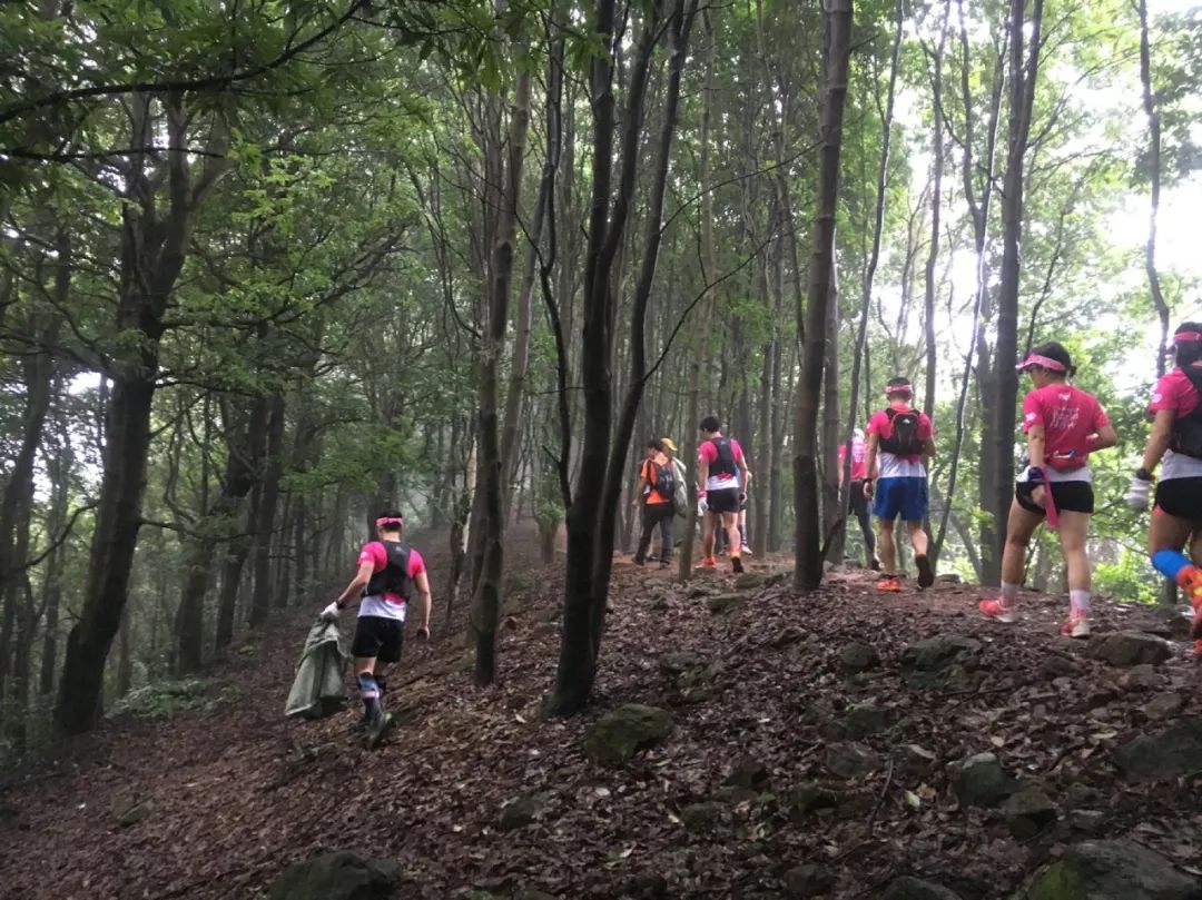 围绕龙洞筲箕窝水库周边山径,沿途清洁山林,为环保出