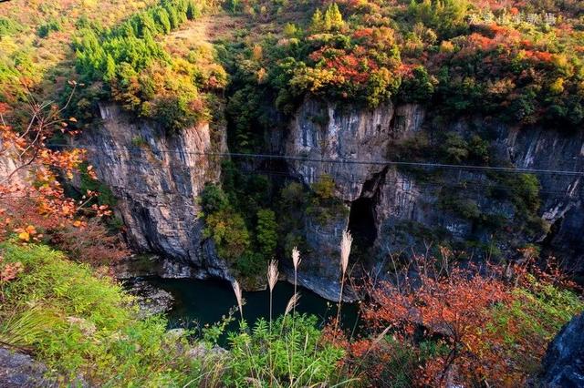 四川发布今年首期红叶指数!旺苍这个地方上榜一级观赏指数_仓山