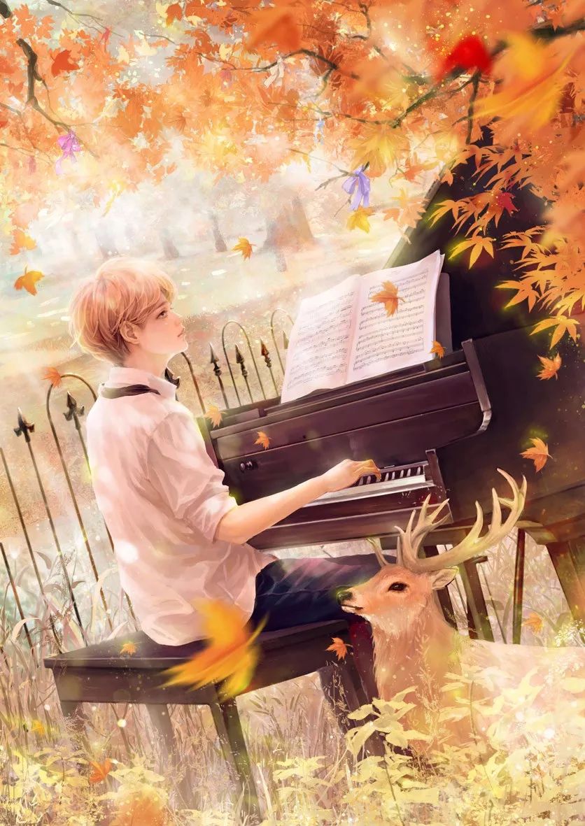 黑白键中律观者心中弦温柔的钢琴治愈人心の美妙旋律