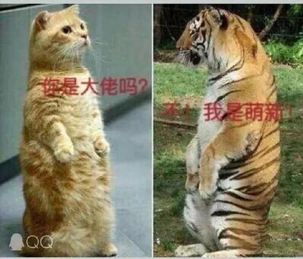 扮萌新吃萌新那会是谁丢的呢?多喝点热水吧这就是你缺心眼儿的理由?