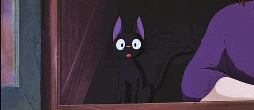 500_217gif 动态图 动图