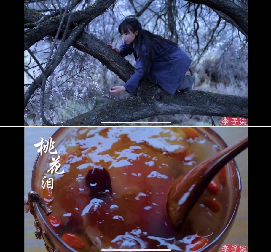 网红界之光李子柒凭什么让500万外国老铁狂赞中国