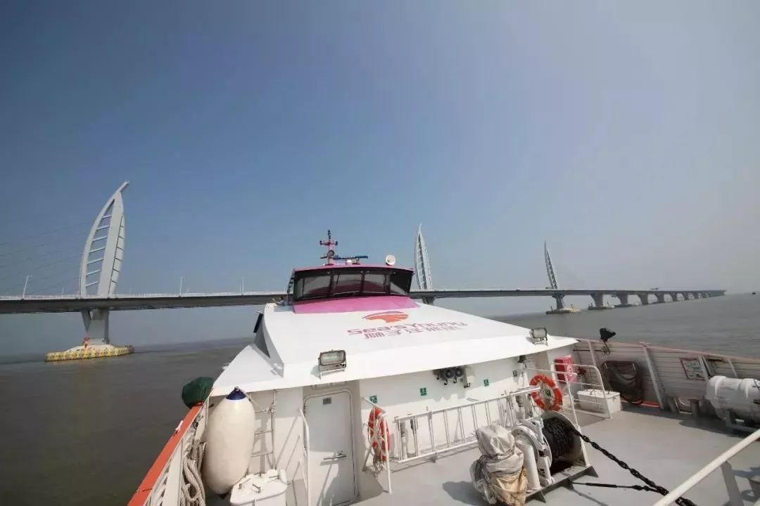 ("狮子洋8"经过港珠澳大桥) 班次 4个班次