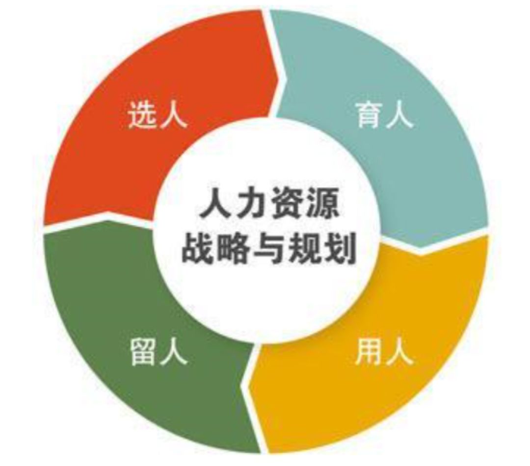 战略出发,从人力资源的"选育用留"四大方面解读企业人力资源建设工作