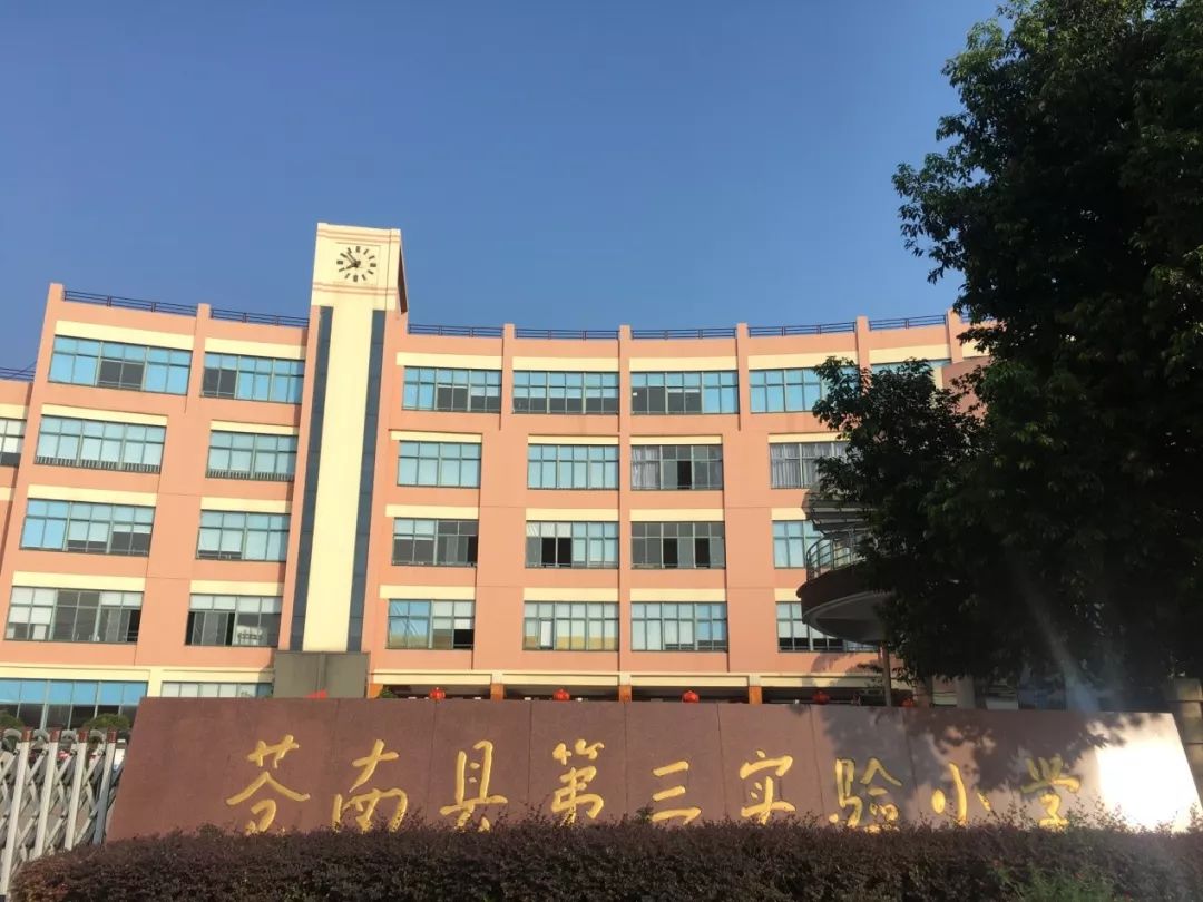 苍南县教育局,温州市特种设备检测研究院共同协办,苍南县第三实验小学