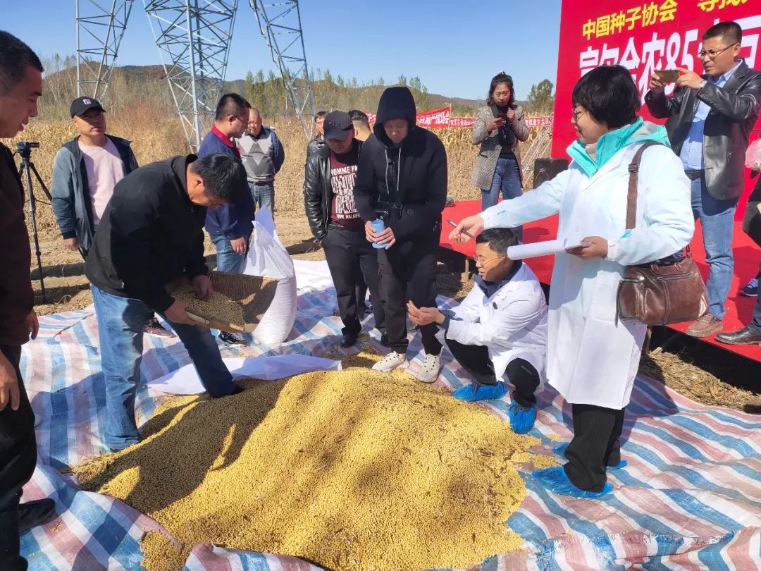 中国种子协会寻找大豆高产品种活动富尔合农85大豆专家现场实测亩产