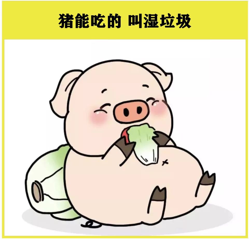 垃圾分类▏垃圾分一分环境美十分